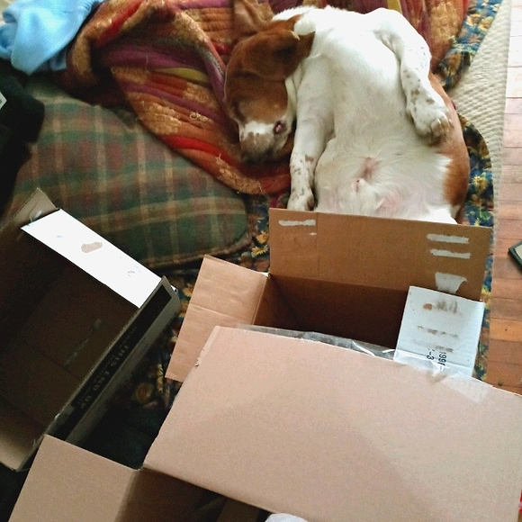 Meet your Posher, Or Else - Picture 4 of 12